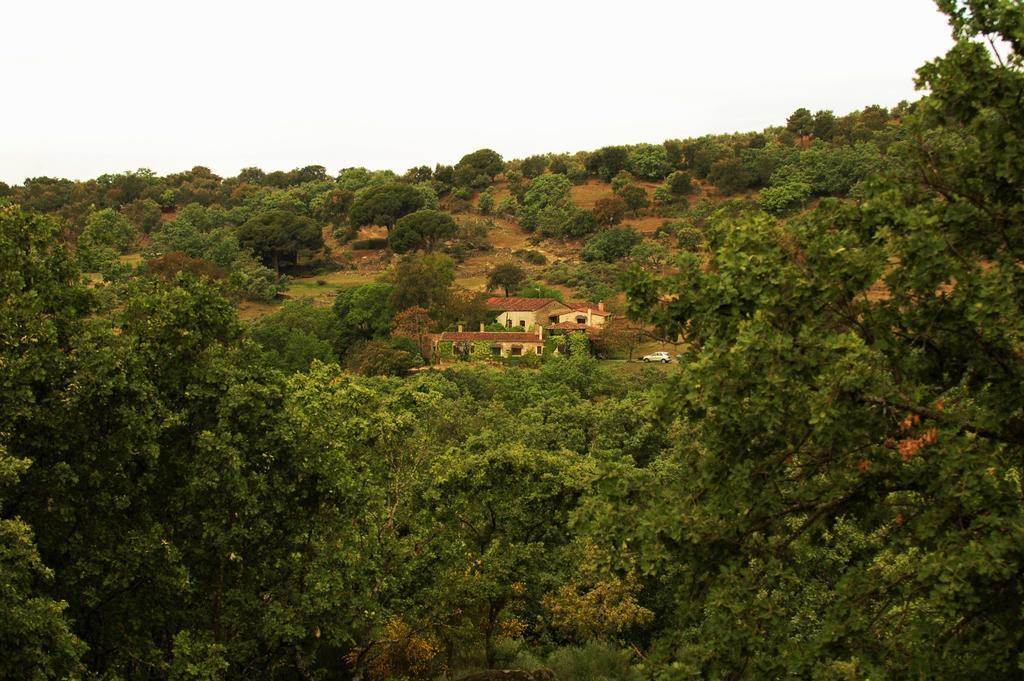 סן מרטין דה טרבחו Casa Rural El Cabezo מראה חיצוני תמונה