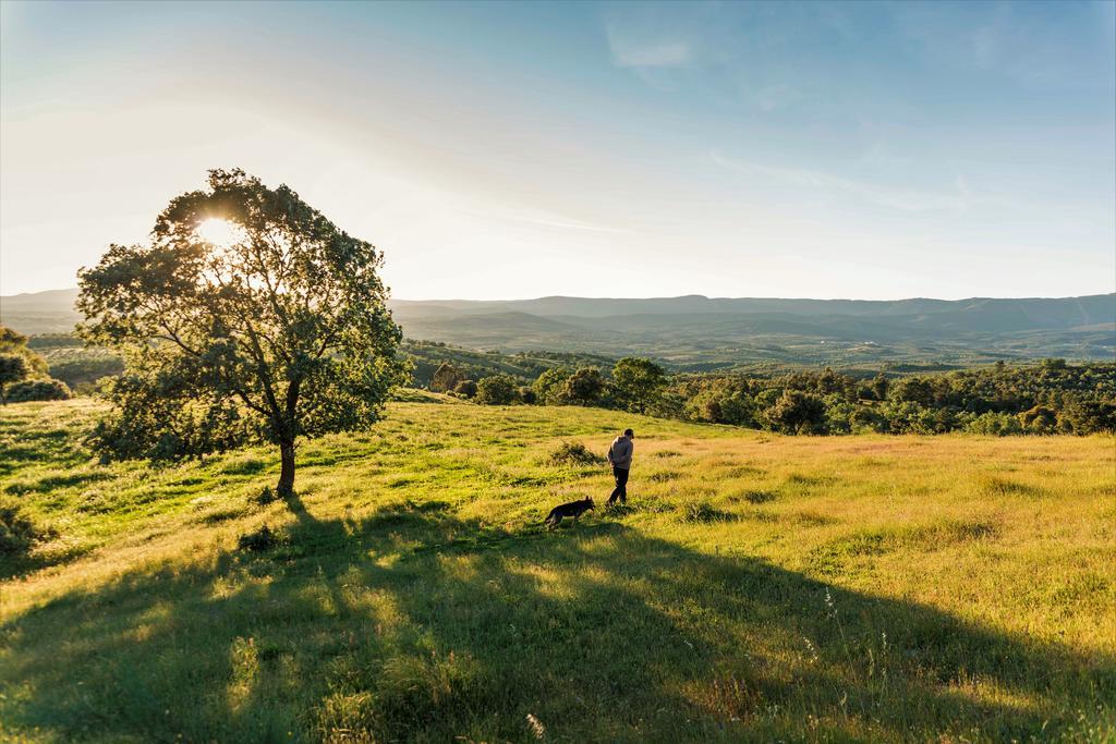 סן מרטין דה טרבחו Casa Rural El Cabezo מראה חיצוני תמונה